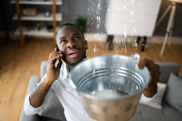  Mountlake Terrace, WA Water damage restoration Pros
