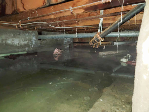 Trusted Mountlake Terrace, WA Water damage restoration Experts