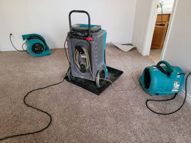 Best Water damage restoration experts  in Mountlake Terrace, WA