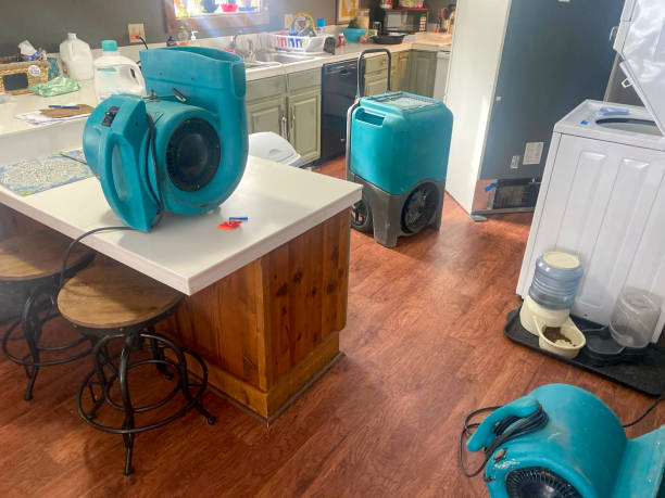 Best Local water damage restoration  in Mountlake Terrace, WA