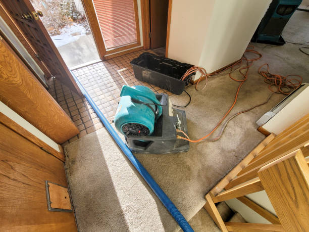 Best Water damage repair service  in Mountlake Terrace, WA
