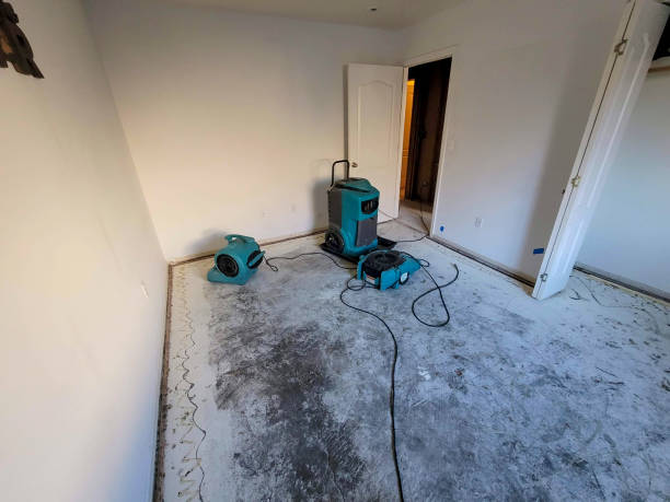 Best Water damage mitigation services  in Mountlake Terrace, WA
