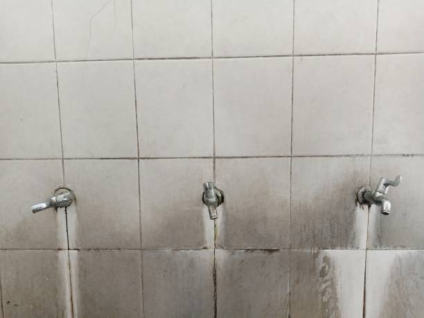 Best 24-hour water damage restoration  in Mountlake Terrace, WA