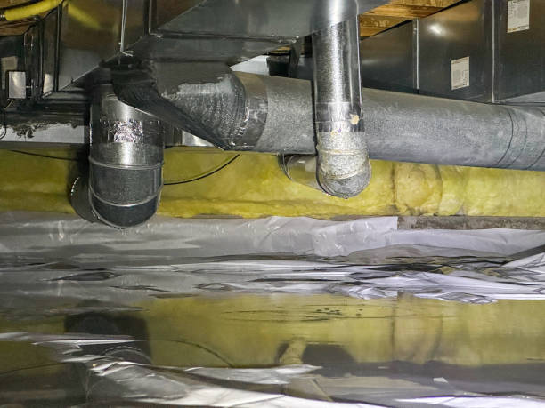 Best Mold removal after water damage  in Mountlake Terrace, WA