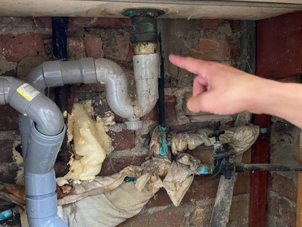Best Flooded house restoration  in Mountlake Terrace, WA