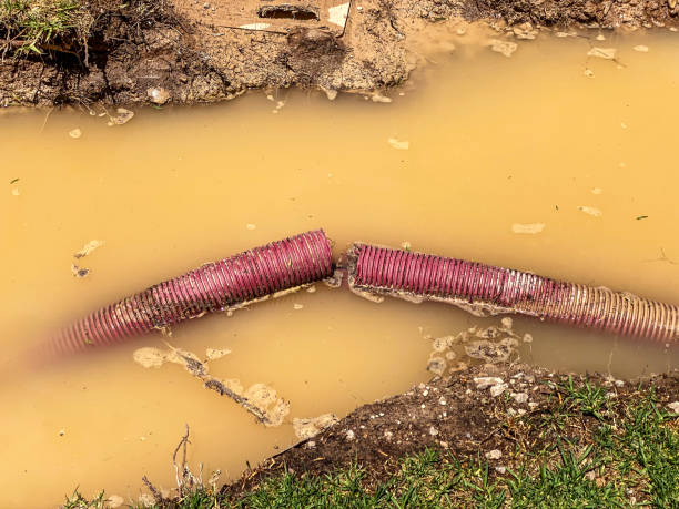 Best Emergency water damage restoration  in Mountlake Terrace, WA