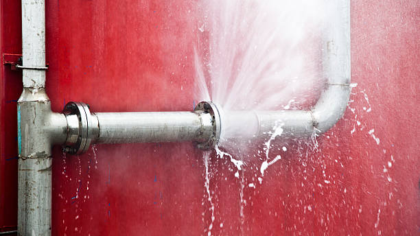 Best Basement water damage restoration  in Mountlake Terrace, WA